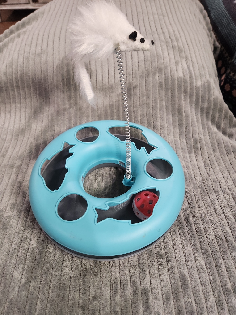 Interactive Indoor Kitten & Cat Toy Roller Ball On Tracks & Teaser Spring Mouse